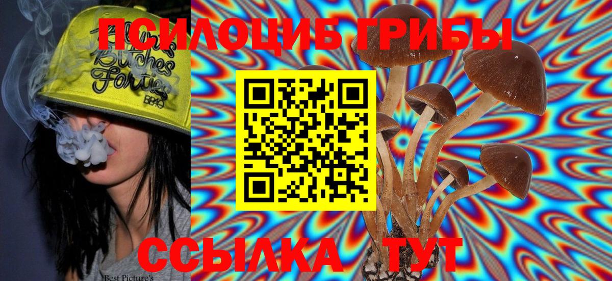 Псилоцибиновые грибы Psilocybe Углич