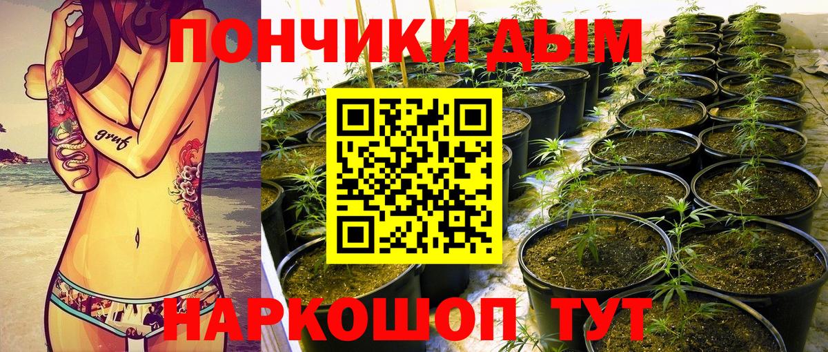 Марихуана Amnesia Углич